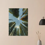 viandora-banff-canopy-acquerello-poster-ambiente-a-1x1