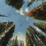 viandora-banff-canopy-acrilico-tela-dettaglio-1x1