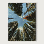 viandora-banff-canopy-acrilico-tela-fronte-1x1