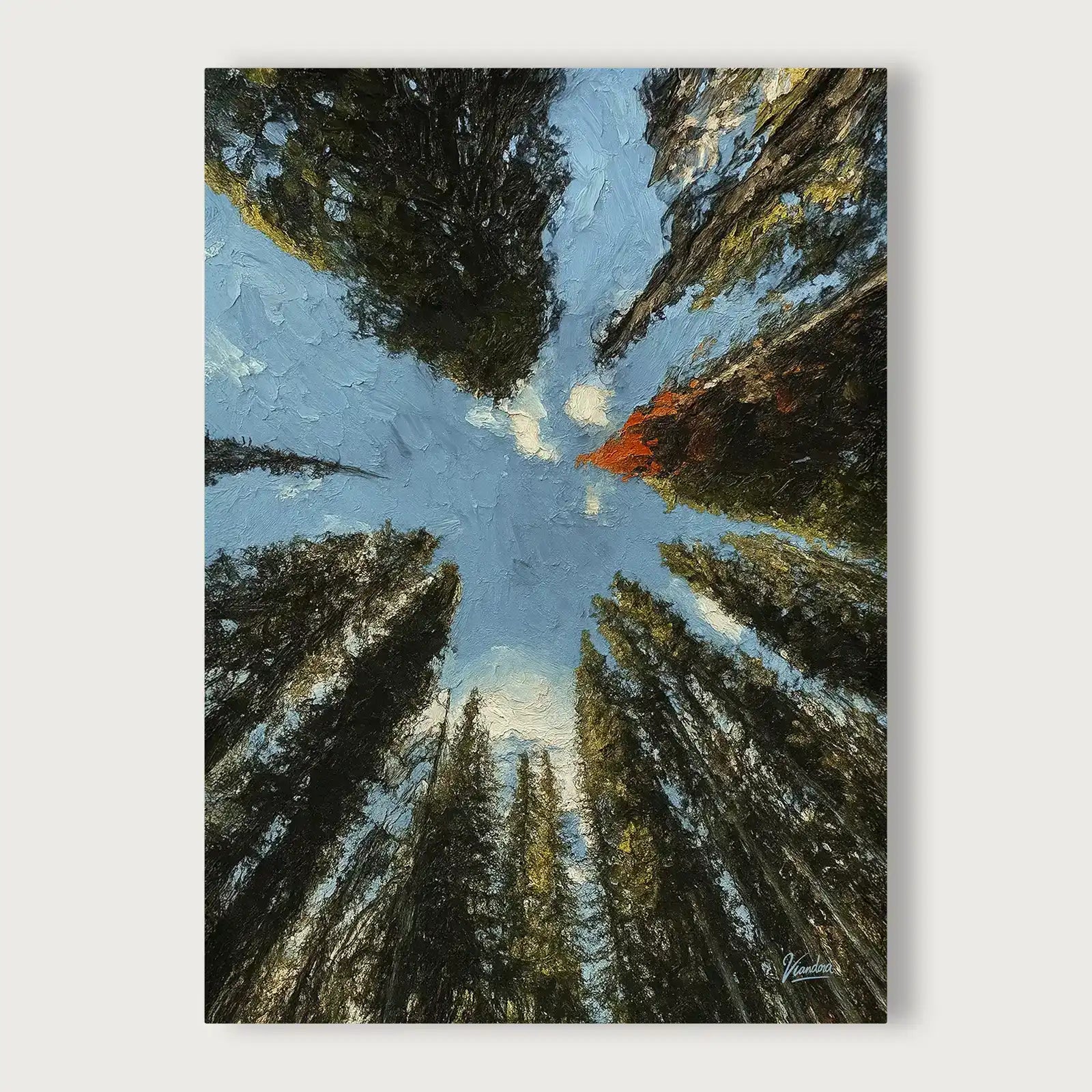 viandora-banff-canopy-acrilico-tela-fronte-1x1