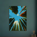 viandora-banff-canopy-poster-moderno-ambiente-a-1x1