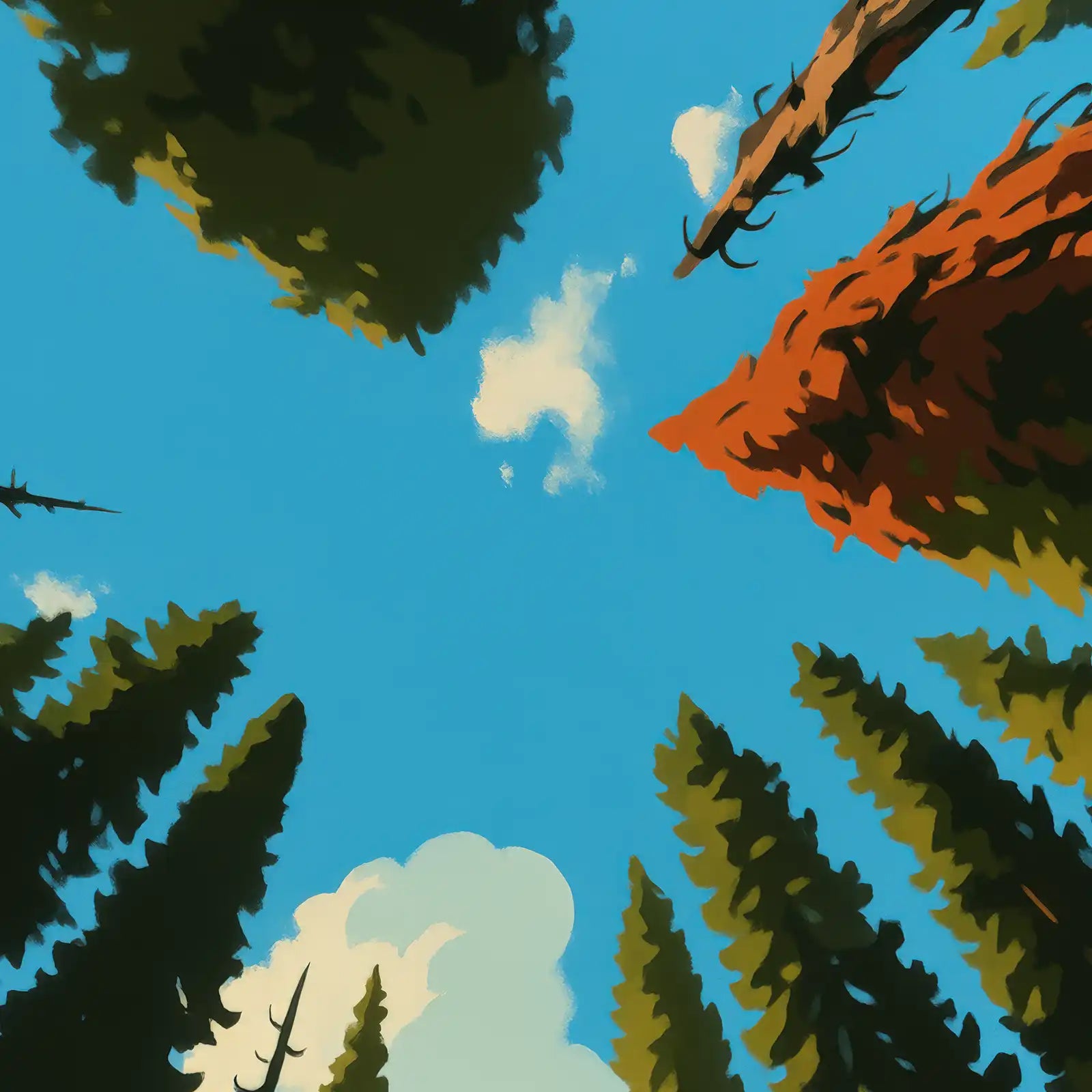 viandora-banff-canopy-poster-moderno-dettaglio-1x1
