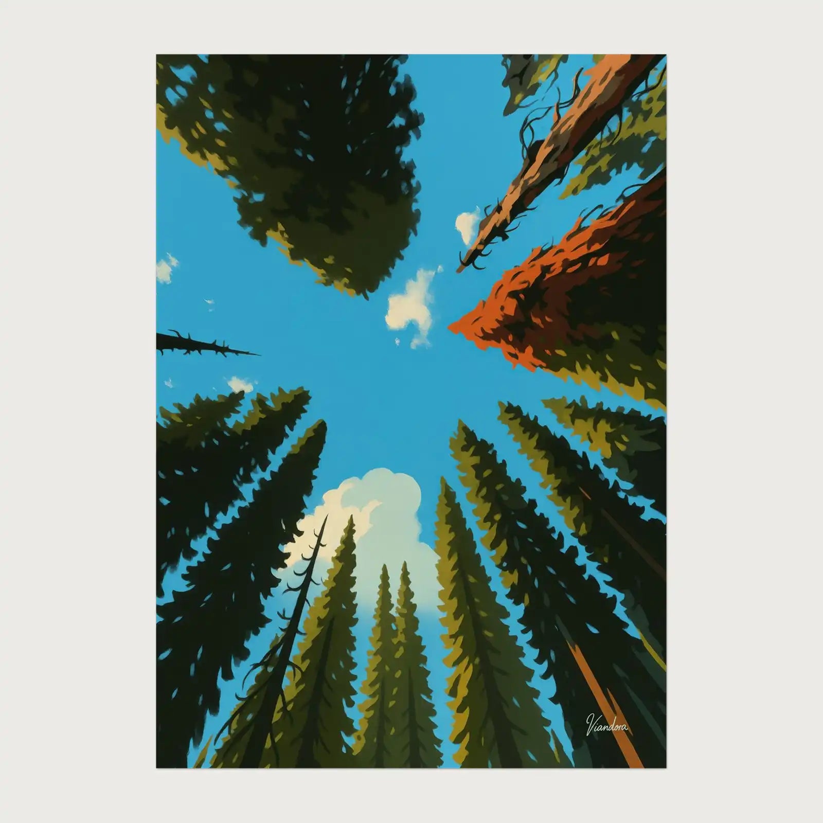 viandora-banff-canopy-poster-moderno-fronte-1x1