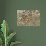 viandora-bengal-tiger-acquerello-poster-ambiente-a-1x1