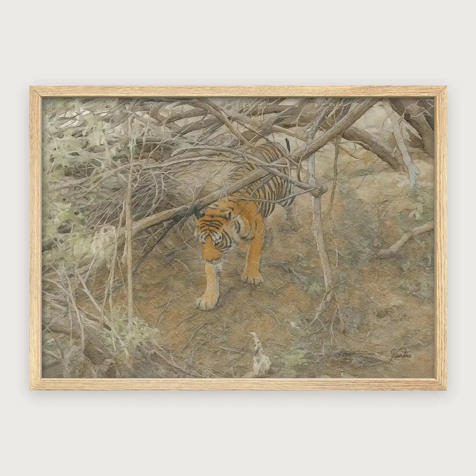 viandora-bengal-tiger-acquerello-poster-con-cornice-legno-chiaro-1x1