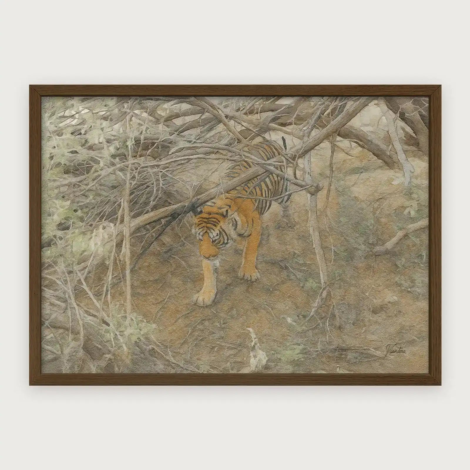 viandora-bengal-tiger-acquerello-poster-con-cornice-legno-scuro-1x1
