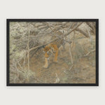 viandora-bengal-tiger-acquerello-poster-con-cornice-nero-1x1