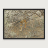 viandora-bengal-tiger-acquerello-poster-con-cornice-nero-1x1