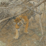 viandora-bengal-tiger-acquerello-poster-dettaglio-1x1