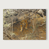 viandora-bengal-tiger-acrilico-tela-fronte-1x1