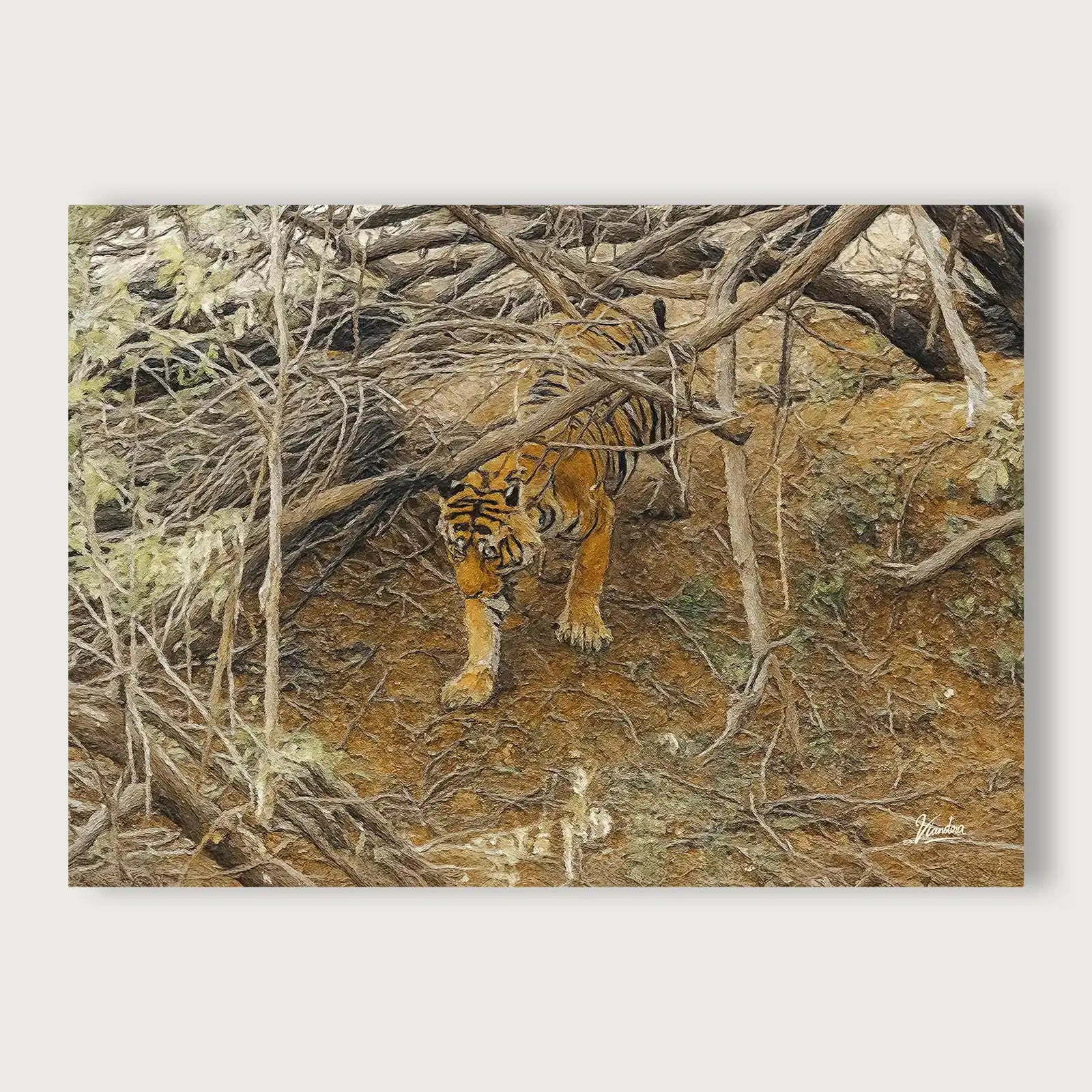 viandora-bengal-tiger-acrilico-tela-fronte-1x1