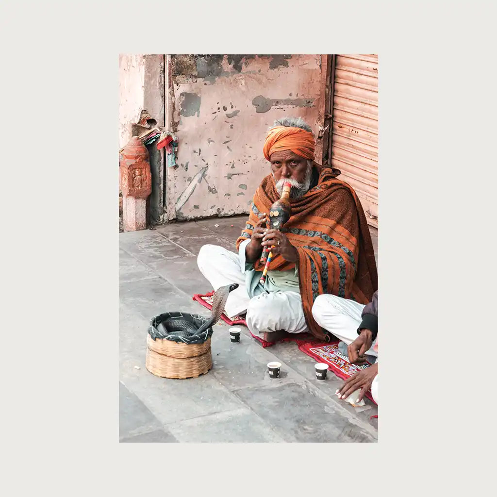 viandora-jaipur-charmer-foto-india