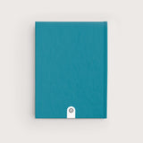 Moraine Lake – Journal