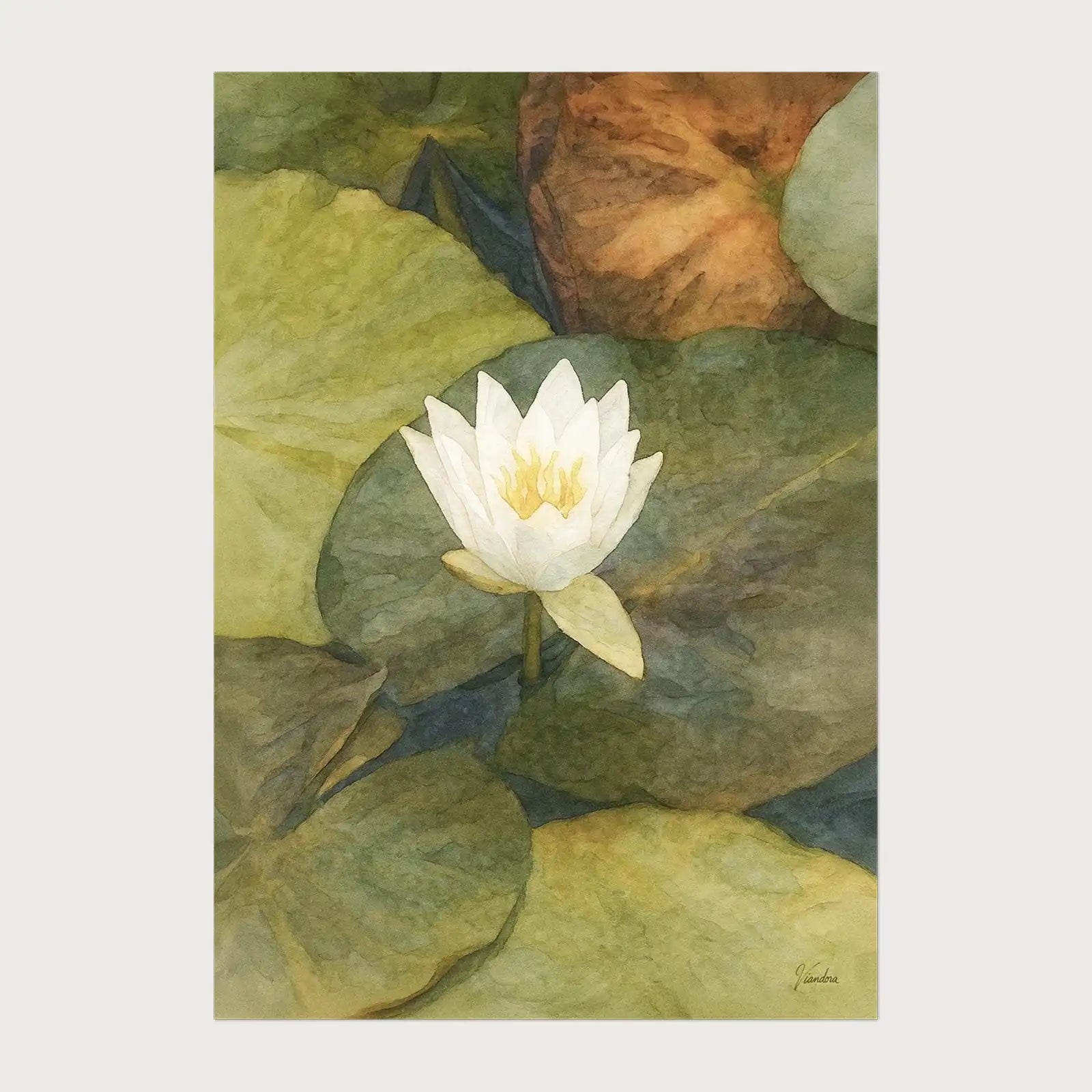 viandora-shirakawa-lotus-acquerello-poster-1x1