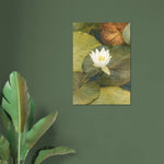 viandora-shirakawa-lotus-acquerello-poster-ambiente-a-1x1
