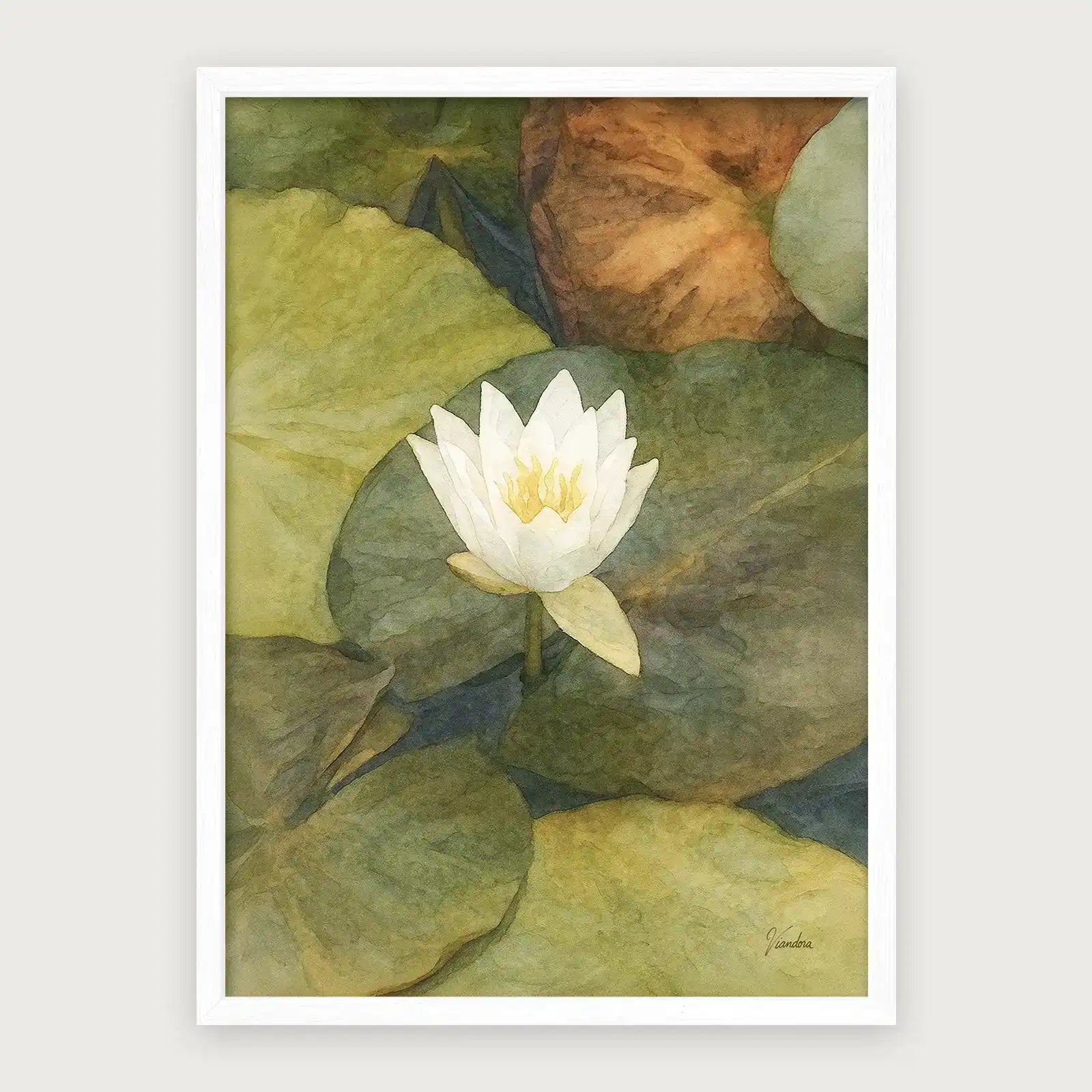 viandora-shirakawa-lotus-acquerello-poster-con-cornice-bianco-1x1