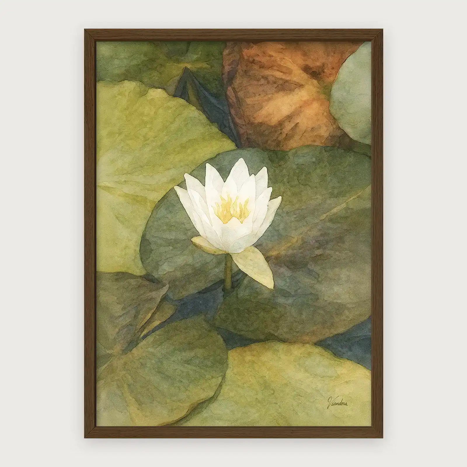 viandora-shirakawa-lotus-acquerello-poster-con-cornice-legno-scuro-1x1