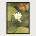 viandora-shirakawa-lotus-acquerello-poster-con-cornice-nero-1x1