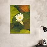 viandora-shirakawa-lotus-poster-moderno-ambiente-a-1x1
