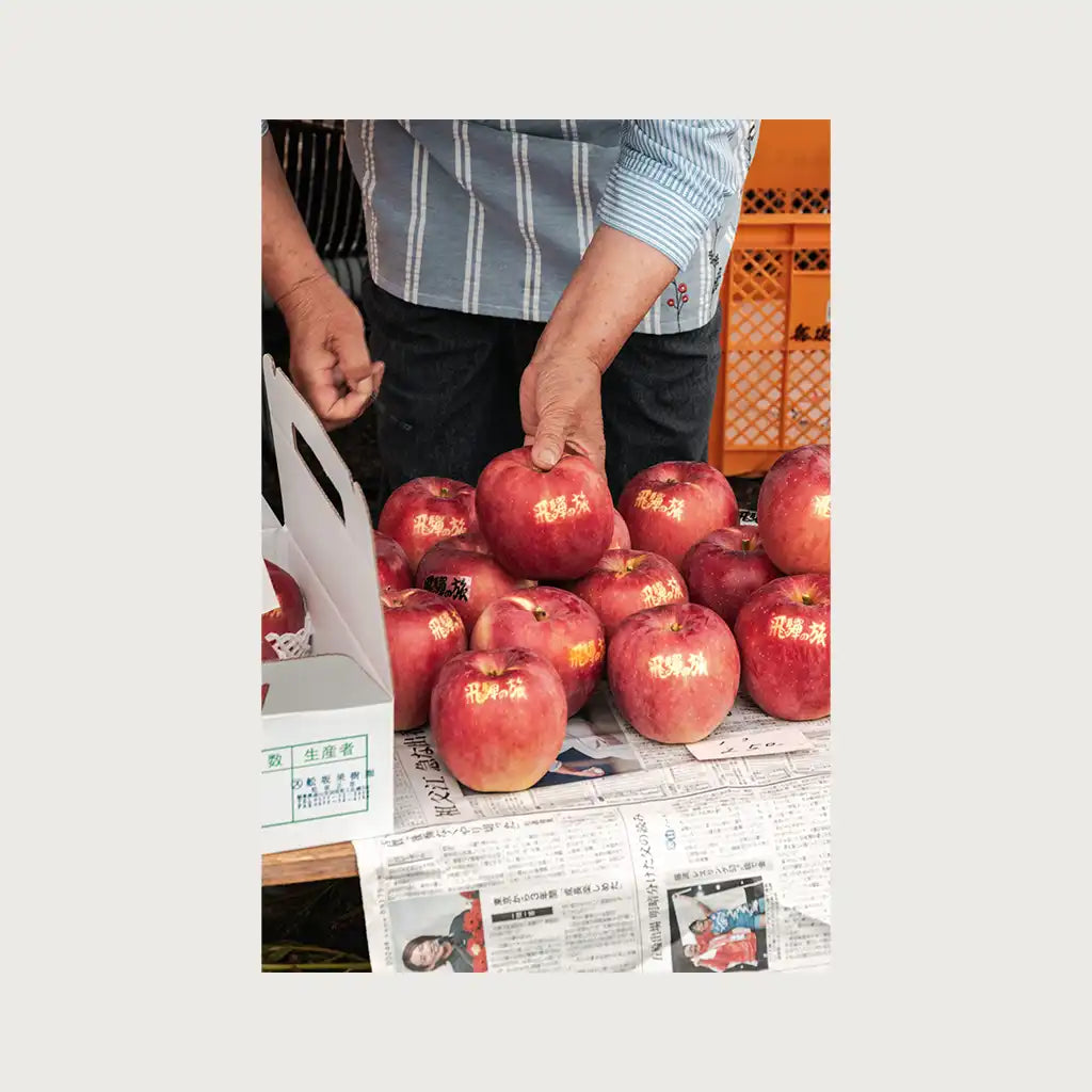 viandora-takayama-market-foto-giappone